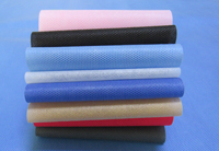 越西涤纶（PET）无纺布是什么